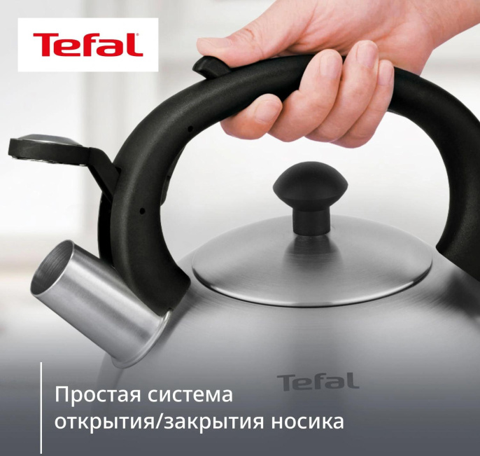 Чайник металлический Tefal Wawe N4210117 2.5л. серебристый 3110602015