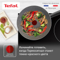 Сковорода ВОК WOK Tefal Natural Cook 04211628 круглая 28см покрытие: Mineralia ручка несъемная без крышки серый 9100046098