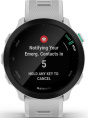 Смарт-часы Garmin Forerunner 55,  42мм,  1.04",  белый [010-02562-11]