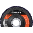 Диск абразивный коралловый фиолетовый 125х22 мм, 5 шт Gigant G-KOR-03-5
