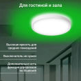 Умный светильник Digma TopLight TL40 потолочный