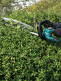 Кусторез Makita UH020GD101, 2.5Ач
