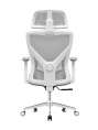 Кресло компьютерное EVOLUTION ErgoLine 2 Grey