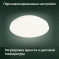 Умный светильник Digma TopLight TL25 потолочный