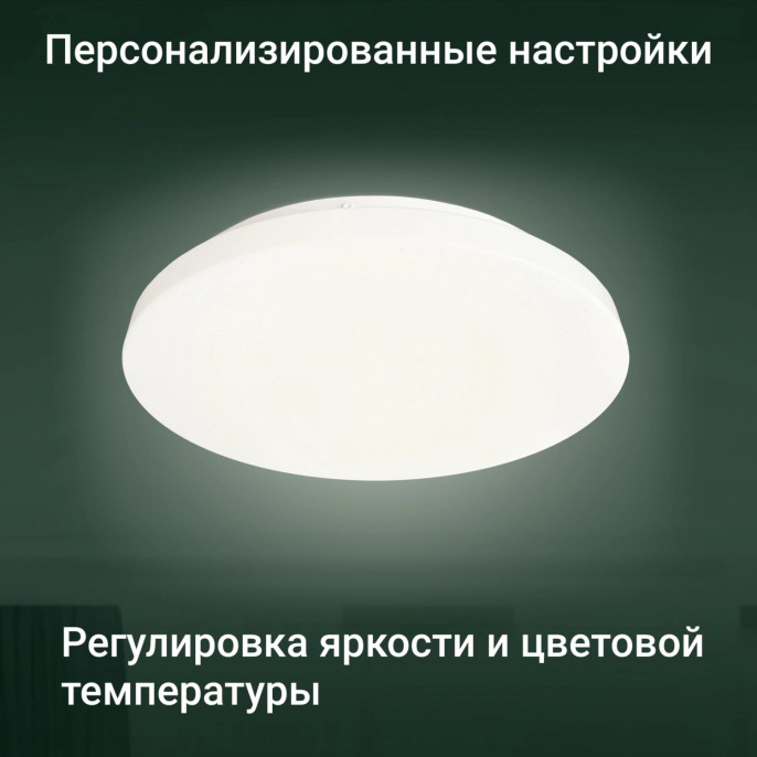 Умный светильник Digma TopLight TL25 потолочный