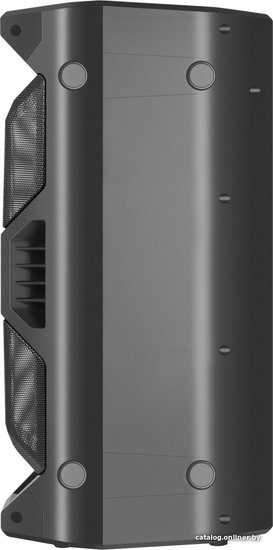 Портативная акустика Rage 50Вт, Light/BT/FM/USB/LED/TWS Defender ,65109