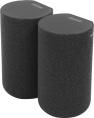 Тыловая колонка Sony SA-RS5, 2 колонки в комплекте , черный