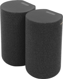 Тыловая колонка Sony SA-RS5, 2 колонки в комплекте , черный