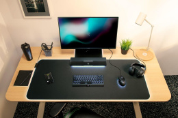 Колонки Razer Leviathan V2 X/ Razer Leviathan V2 X RZ05-04280100-R3M1