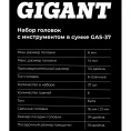Набор головок Gigant 1/4 дюйма с инструментом в сумке, 37 предметов GAS-37