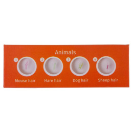 Набор микропрепаратов LEVENHUK LabZZ CP24, 6 предметов [72870]