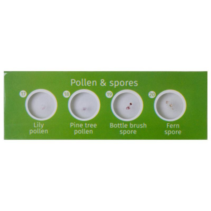 Набор микропрепаратов LEVENHUK LabZZ CP24, 6 предметов [72870]