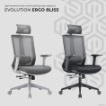 Кресло компьютерное EVOLUTION ERGO BLISS Black