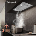 Встраиваемая вытяжка WEISSGAUFF Box 600 PB IX, управление кнопочное, нержавеющая сталь [435137]