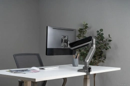 Кронштейн для монитора ErgoSmart Heavy-Duty серебристый, 1 монитор, 17-49", настольный, регулировка высоты/поворота, VESA75/100