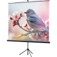 Экран на штативе Lumien LEV-100105 Eco View 160x160 см, Matte White, 1:1 6 54504