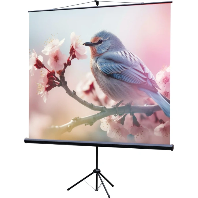 Экран на штативе Lumien LEV-100105 Eco View 160x160 см, Matte White, 1:1 6 54504