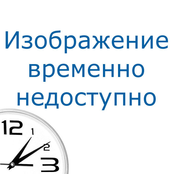 Bort BHR-2100M Мойка высокого давления {2000 Вт; 150 бар; 7,5 л/мин; 450 л/час; 8 м; 220...240 В; 50 Гц; 7 кг; гарантия 2 г} [93416862]