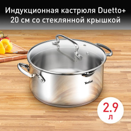 Кастрюля Tefal Duetto+ G7194455 2.9л. d 20см с крышкой серебристый 2100113151