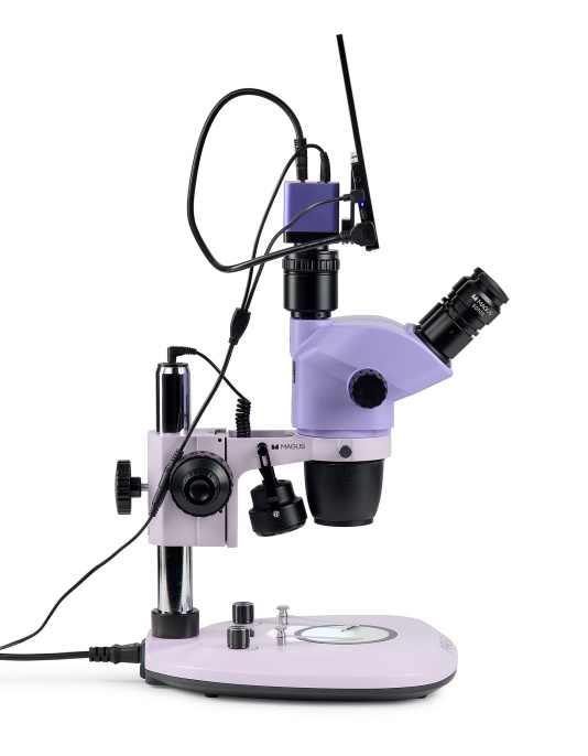 Микроскоп стереоскопический цифровой MAGUS Stereo D8T LCD BASE