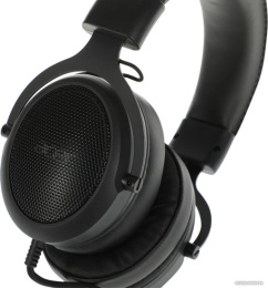 Наушники с микрофоном Acer AHW120 черный 2.1м мониторные USB оголовье ZL.HDSCC.01C