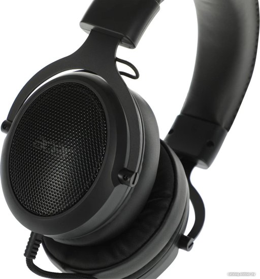 Наушники с микрофоном Acer AHW120 черный 2.1м мониторные USB оголовье ZL.HDSCC.01C