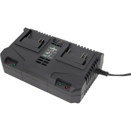 Зарядное устройство TRUEGREEN TG8M250