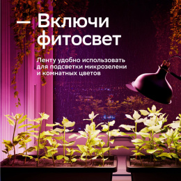 Удлинитель умных светодиодных лент SBER SBDV-00038