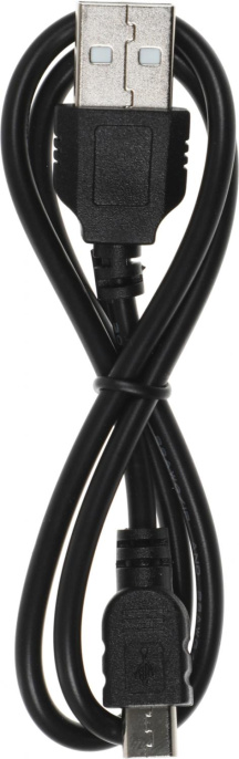 Диктофон Цифровой Ritmix RR-120 4Gb черный