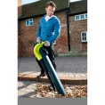 Садовый пылесос Ryobi RBV3000CESV 5133002190