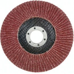 Круг лепестковый торцевой (125х22.2 мм; P40) Vira 559140