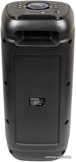 Акустическая портативная колонка Nakatomi GS-30 - 30WRMS, Караоке с беспр. микр, BTFMUSBSDLEDДУ