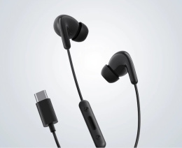Наушники Xiaomi Type-C Earphones M2413E1 BHR8930GL (черный, международная версия) внутриканальные, портативные, 20-20000 Гц, кабель 1.3 м