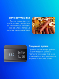 Сушка для фруктов и овощей Kitfort КТ-1905 18под. 500Вт черный