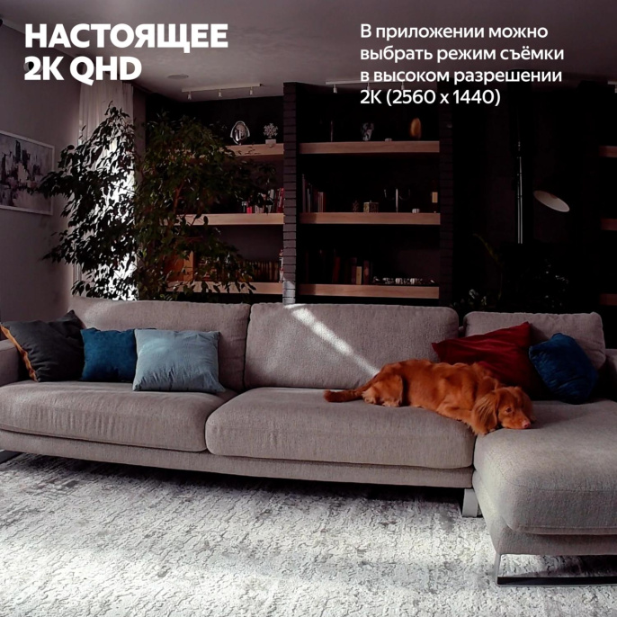 Камера видеонаблюдения IP ЯНДЕКС YNDX-00582GRY,  2560х1440 pix,  5.85 мм,  серый