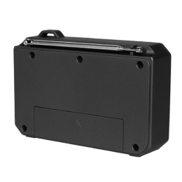 Радиоприёмник RITMIX RPR-010 переносной, FM, звук 5 Вт, автонастройка