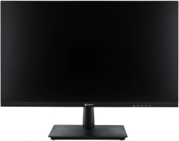 Монитор Lightcom 23.8" V-Plus ПЦВТ.852859.400-06 черный IPS 4ms 16:9 HDMI матовая 300cd 178гр/178гр 1920x1080 100Hz VGA DP FHD USB 2.66кг RUS