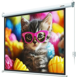 Экран с электроприводом Lumien LEC-100107 Eco Control 183x244 см, рабочая область 175x236 см, Matte White, черная кайма по периметру, 4:3 6 121562