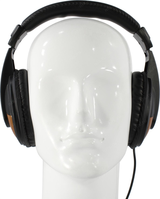 Полноразмерные наушники с микрофоном гарнитура ExeGate Office HS-130S регулировка оголовья, 2x3.5мм, динамик 40мм, 20-20000Гц, длина кабеля 2.2м, регулировка громкости EX295315RUS