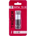 Бита ПРОФИ (2 шт; 50 мм; TORX30) ТРИГГЕР 84976 тов-151826