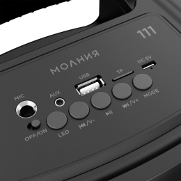 Колонка портативная URAL Молния 111, 40Вт, черный