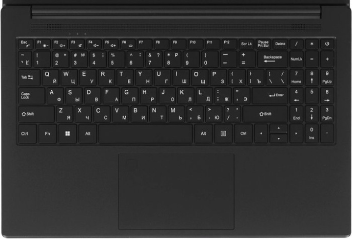 Ноутбук 15.6" IPS FHD RIKOR NINO 201.1 черный (AMD Ryzen 5 5500U/16Gb/256Gb SSD/VGA int/W11Pro/RJ45) (D6EC3CC9)