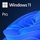Программное обеспечение Microsoft Windows 11 Professional HAV-00162, 64-bit English USB (BOX)