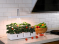 Гидропонная установка Cactus Garden 3л 20 белый (CS-LEDPOT-08)