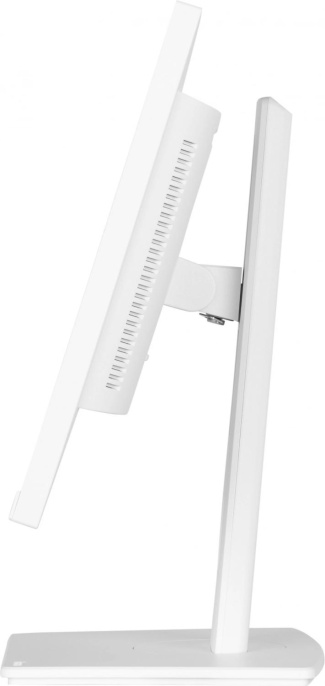 23.8" Монитор Iiyama ProLite XUB2497HSU-W2, 1920x1080, IPS, 100Гц, 1хHDMI, 1хDP, белый