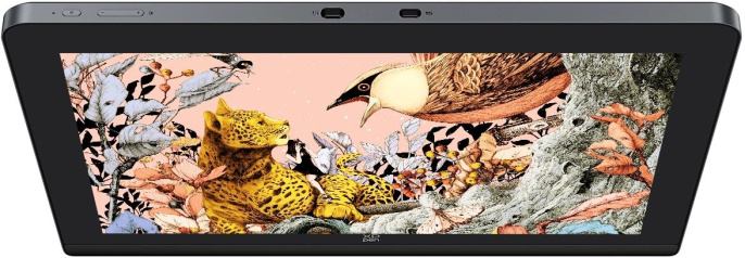 Графический планшет-монитор XPPen Artist Pro 16 USB Type-C/USB/HDMI черный (MD160QH_AD41)