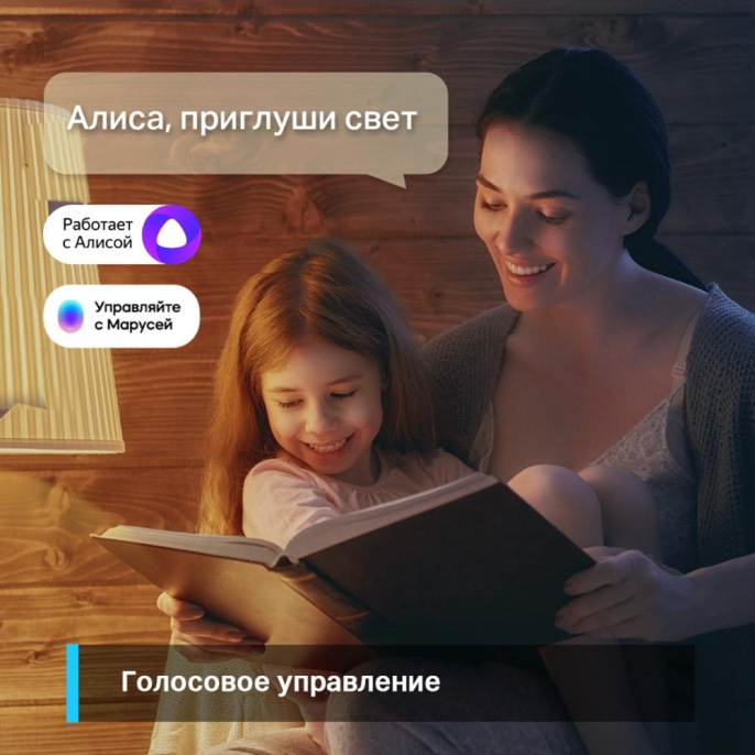 Умная Wi-Fi лампа/ WiFi Bulb, A60 size, E27, 9.5W, 2000k-6500k tunable white, 800 lumens (Tapo L530E)