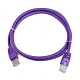Патч-корд Bion [BPC-U5E101-0.25M-VT] U/UTP, Cat.5e, AWG 26 (7/0,16мм), CCA, многожильный, PVC, 0,25м, фиолетовый