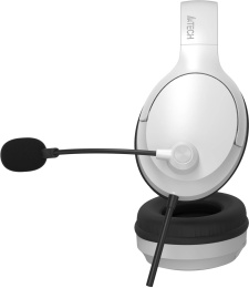 Наушники с микрофоном A4Tech Fstyler FH280U черный 2м мониторные USB оголовье