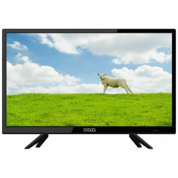 Телевизор POLAR P24L24T2C